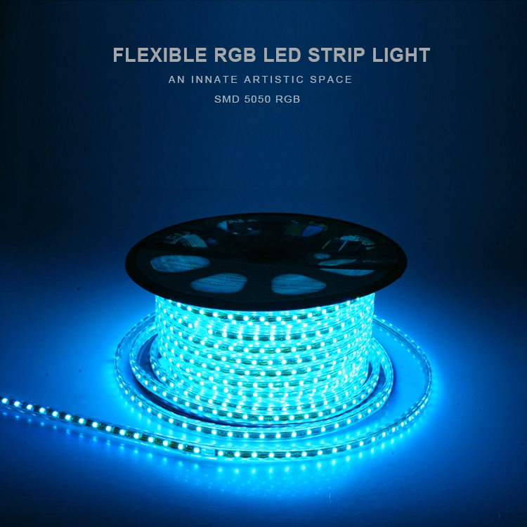 Flexible LED Strip Light 220V 120V 5050 RGB Chip 60LED
