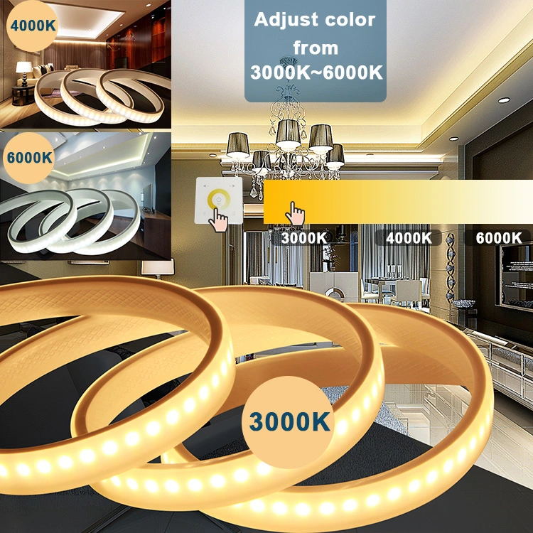 Non Flicker LED Strip Light AC220V 120V SMD 2835 240LED 14W Changed Color Waterproof IP65 Outdoor Used